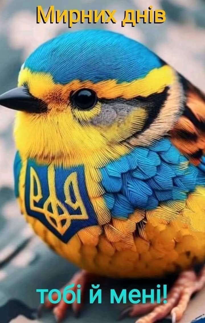 Когда окончится вoйна…